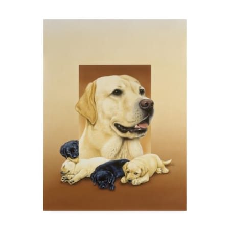 Harro Maass 'Labradors' Canvas Art,14x19